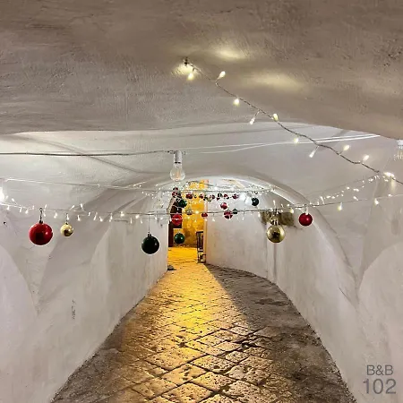 102 住宿加早餐酒店 4*